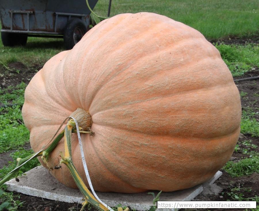 fruitImages/990.8 Wagler 2025C.jpg
